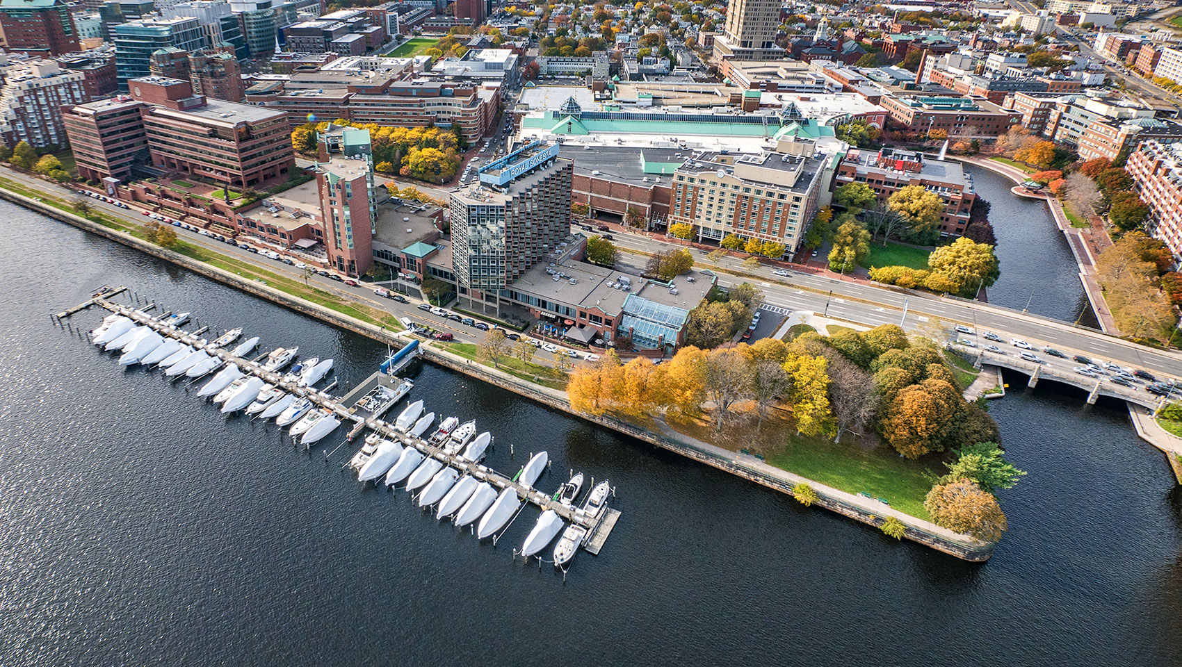 Charles river and dock