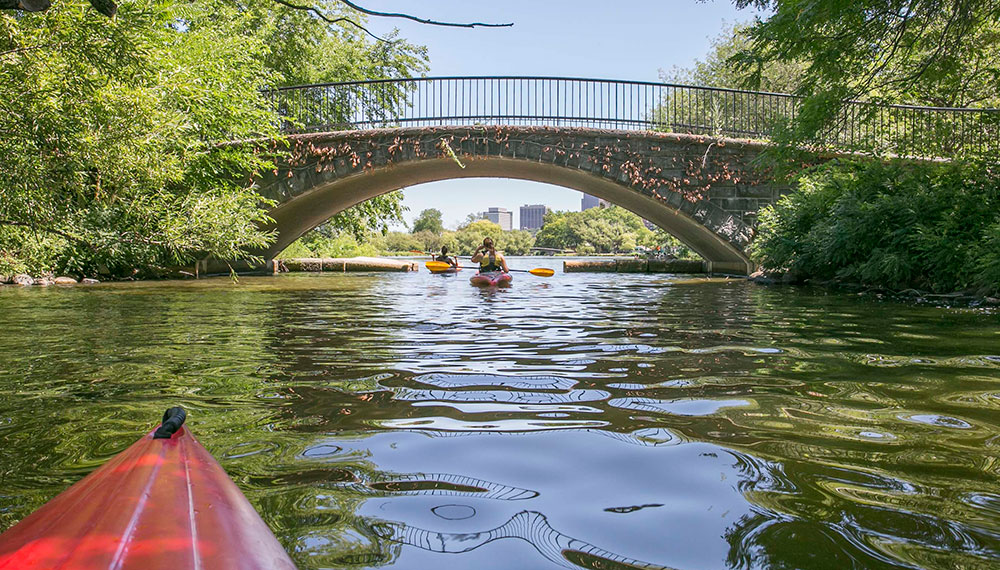 Kayaks on the water near hotel marlowe