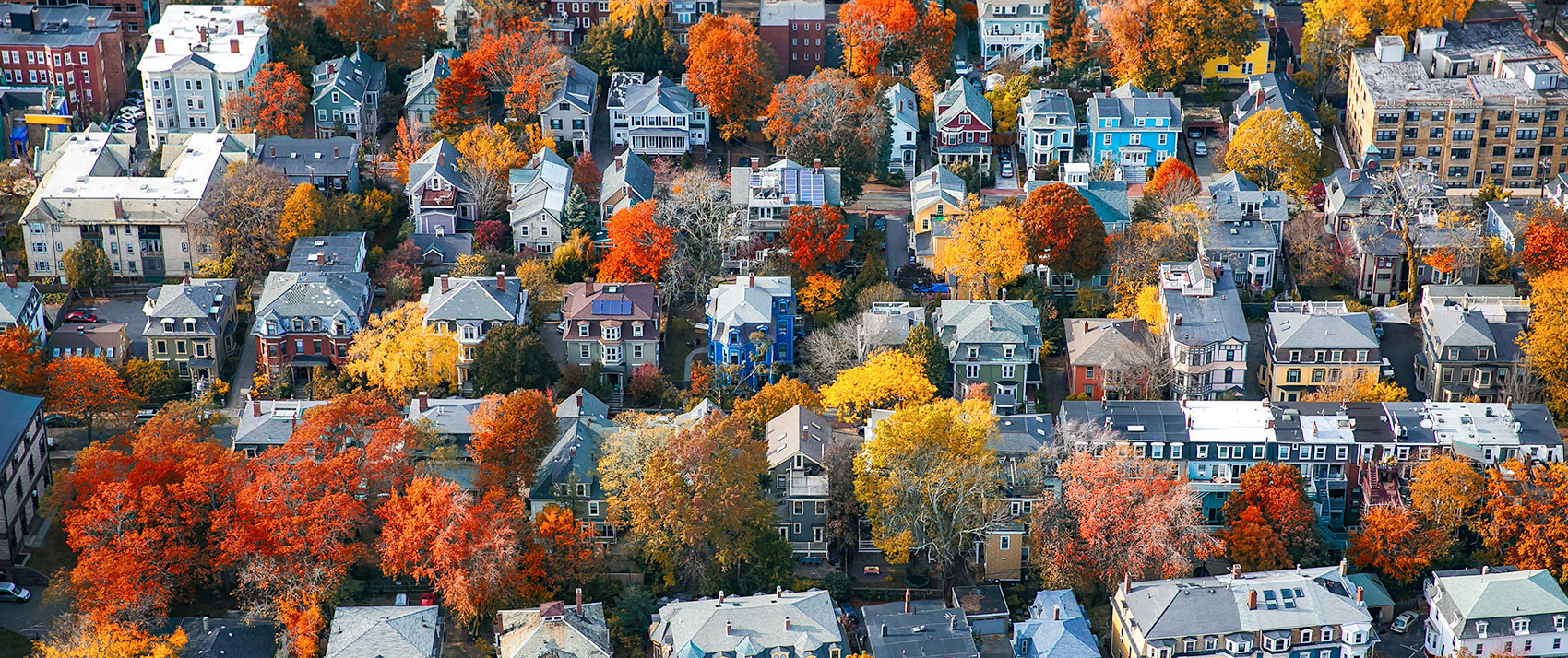 an aerial view of houses with trees