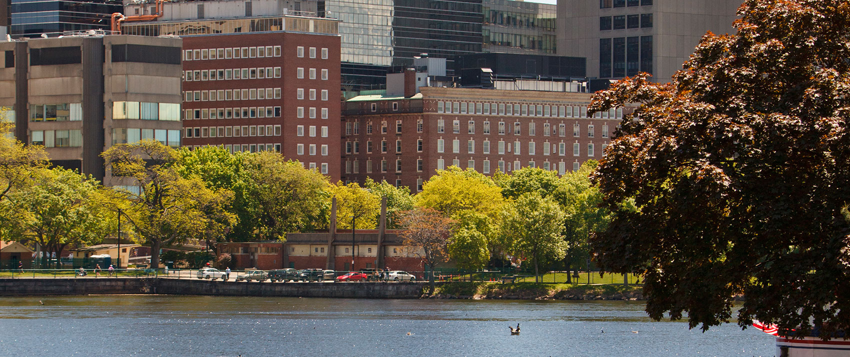 view of Kimpton Marlowe from across the river